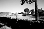 Casafranca en el recuerdo