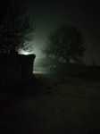 Niebla