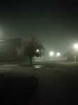 Niebla