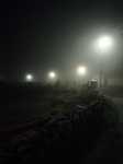 Niebla