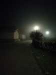 Niebla
