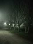Niebla