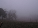 Niebla
