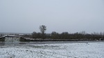 Nieve