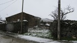 Nieve