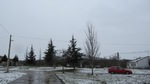 Nieve