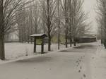 Nieve